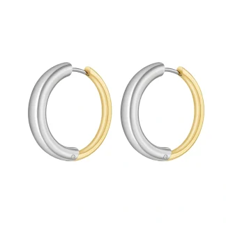 Two-Tone Hoop Earrings