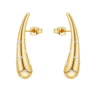 Rain Zircon Stud Earrings