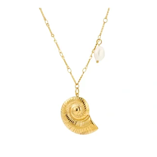Summer Arc Conch Necklace