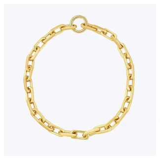 Chunky Link Chain Necklace