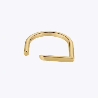 Futuristic D Ring