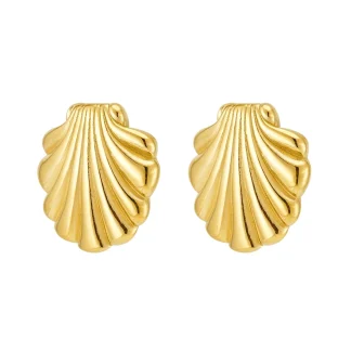 Shell Shape Stud Earrings