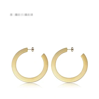 Shiny Hoop Earrings