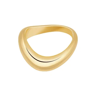 Geometry Wave Curved Ring